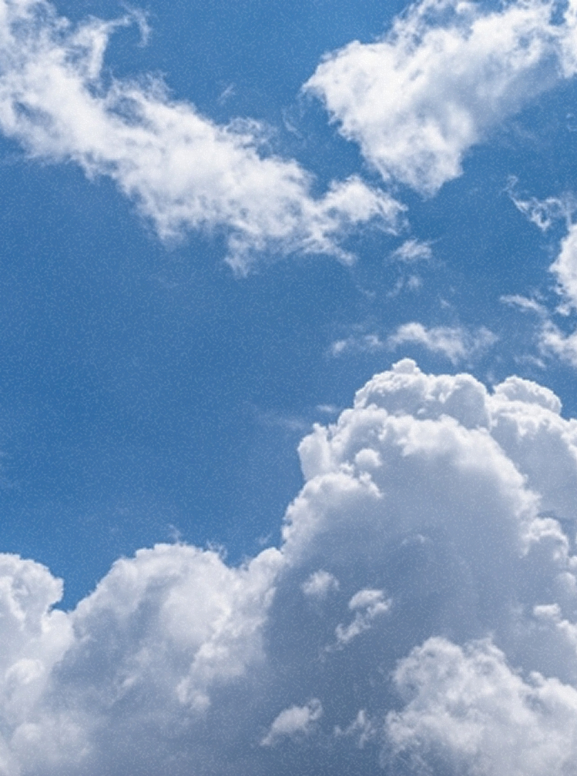 森林投資で未来をつくるカーボンクレジットとは？