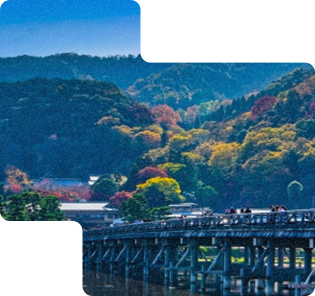 日本国内におけるカーボンクレジット創出・発行支援