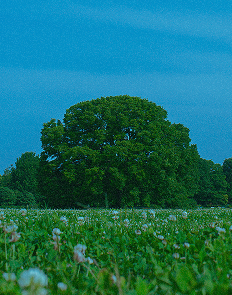 日本国内におけるカーボンクレジット創出・発行支援